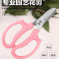 Flower & Branch Pruning Scissors – Sharp Steel Blades