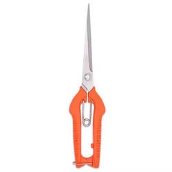 Stainless Steel Fruit & Garden Shears