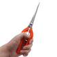 Stainless Steel Fruit & Garden Shears