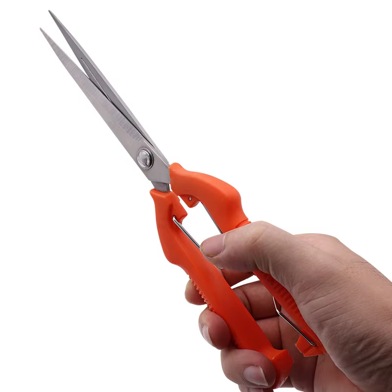 Stainless Steel Fruit & Garden Shears